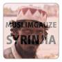Muslimgauze - Syrinjia