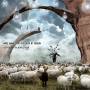 Various - More Animals At The Gates