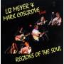 Liz Meyer & Mark Cosgrove - Regions Of The Soul-live