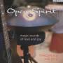 Thomas Heinz - Open Spirit