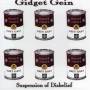 Gidget Gein - Suspension Of Disbelief