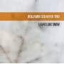 Benjamin Schaefer / Trio - Leaves Like Snow