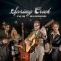 Spring Creek - Way up on a Mountain
