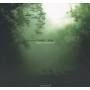 Daniel Levin - Inner landscape