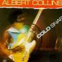 Albert Collins - Cold Snap