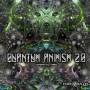Quantum Animism 2.0 / Various (uk) - Quantum Animism 2.0