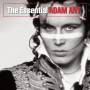Adam Ant - THE ESSENTIAL