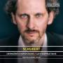Mathieu Gaudet - Smtliche Sonaten und groe Klavierwerke