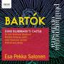 Tomlinson / Deyoung / Stevenson / Salonen / Philharmonia O - Herzog Blaubarts Burg