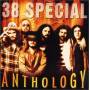 Thirty Eight Special - Anthology -34tr-