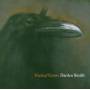 Darden Smith - Field Of Crow