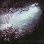 In Malice's Wake - Light Upon The Wicked