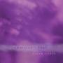 Steve Roach - Immersion: Four