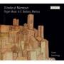 Liuwe Tamminga - Il Ballo Di Mantova-Organ Music In S.Barbara