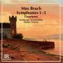 Bamberger Symphoniker; Robert Trevino - Complete Symphonies
