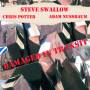 Steve Swallow / Chris Potter / Adam Nussbaum - Damaged In Transit