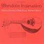 Michael Holmes - Mandolin Instruction: Old Time Country Fiddle