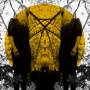 Austra - Feel It Break