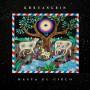 Khruangbin - Hasta El Cielo (Con Todo El Mundo In Dub) (180g)