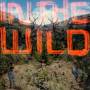 FaltyDL - In The Wild (2LP+MP3)