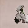 John Legend - Love In The Future (Special Edition)