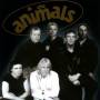 The Animals - The Animals