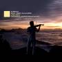 Roth / Prazeres / Orquestra Johann Sebastian Rio - SamBach