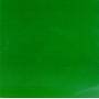 Skankin' Pickle - Green Album