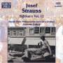 Pollack / Slow. Staatl. Ph. Or. - Josef Strauss-Edition Vol.12