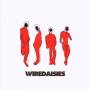Wire Daisies - Wire Daisies