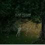 Clair Morgan - New Lions And The Not-Good Night