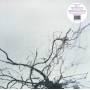 Yutaka Hirose - Nova+4
