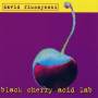 David Fiuczynski - Black Cherry Acid Lab
