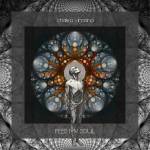 Chakra Vimana - Feed My Soul
