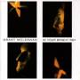 Grant Mc Lennan - In Your Bright Ray