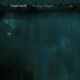Frode Haltli / Arve Henriksen - Passing Images