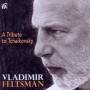 Vladimir Feltsman - A Tribute to Tchaikovsky