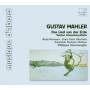 Herreweghe / Remmert / Blochwitz / + - Das Lied Von Der Erde