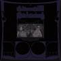 Shabazz Palaces - Exotic Birds of Prey