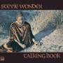 Stevie Wonder - Talking Book