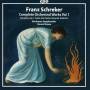 Bochumer Symphoniker; Steven Sloane - Orchesterwerke Vol.1