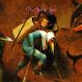 john Zorn - Painted Bird