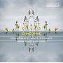 Matthias Maute / Ensemble Caprice - Chaconne