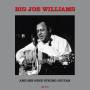 Big Joe Williams - And His Nine String Guitar