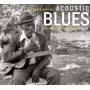 Various - Acoustic Blues Vol.4 (2-CD)