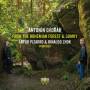 Antonin Dvorak - From The Bohemian Forest & Dumky