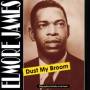 Elmore James - Dust My Broom