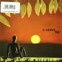 Latins 80 - Foglie Gialle All Imbrunire