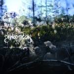 Panopticon - ...And Again into the Light