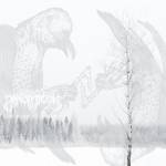 Panopticon - The Rime of Memory